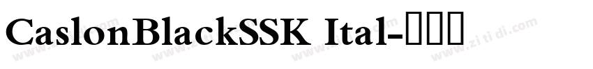 CaslonBlackSSK Ital字体转换